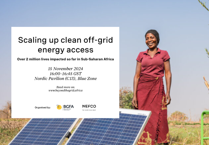 COP29 side event: Scaling up clean off-grid energy access